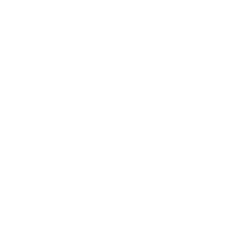 Collegesathi-logo